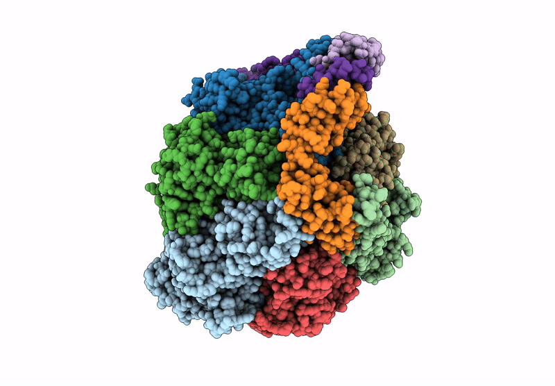 9O1C image