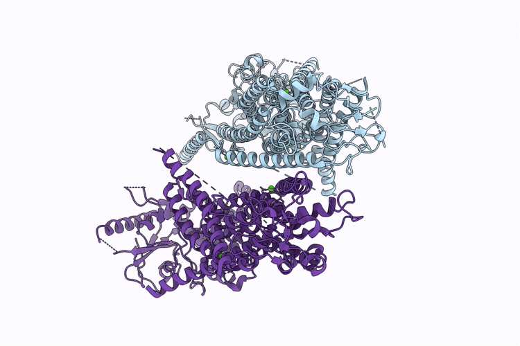 9O1P image