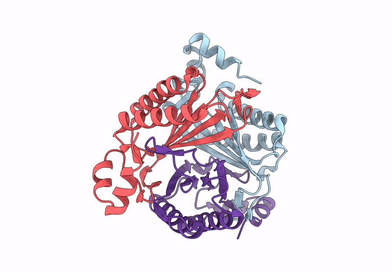 9O2N image