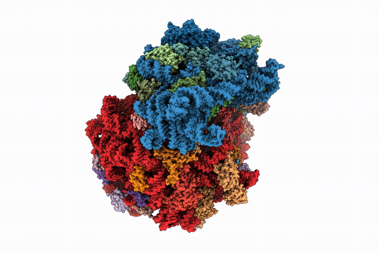 9O2X image