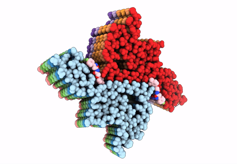 9O4B image