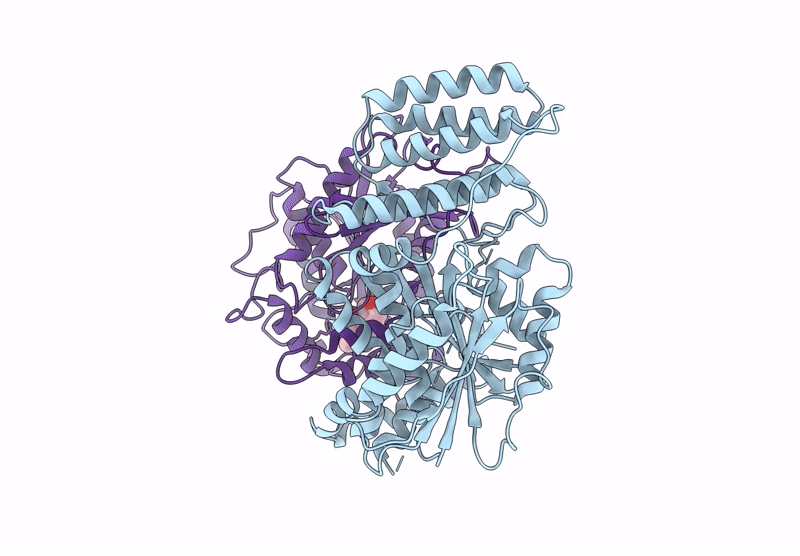 9O4J image