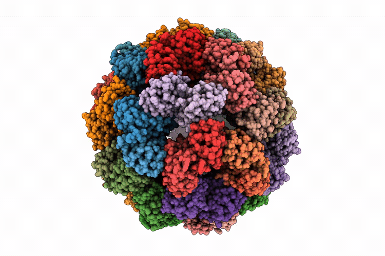 9O4R image