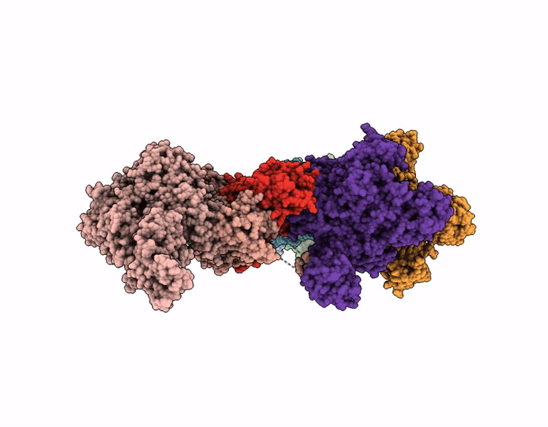 9O5E image