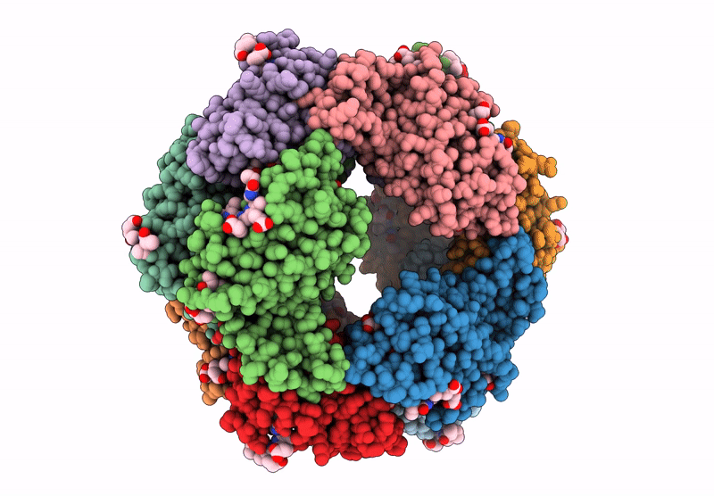 9O61 image