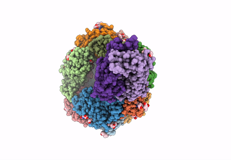 9O62 image