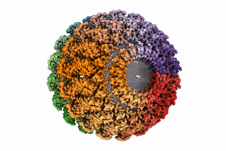 9O7M image