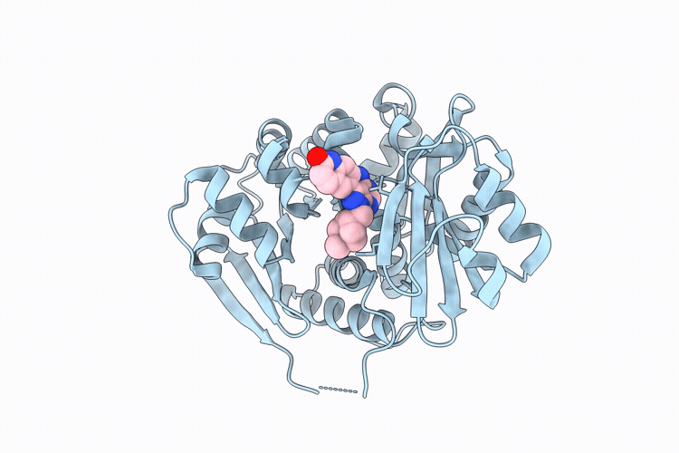 9O7P image