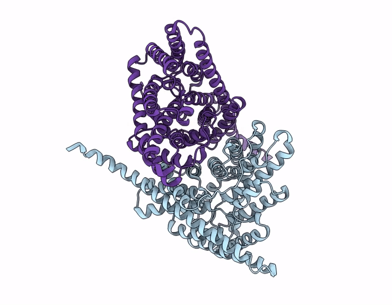 9O96 image