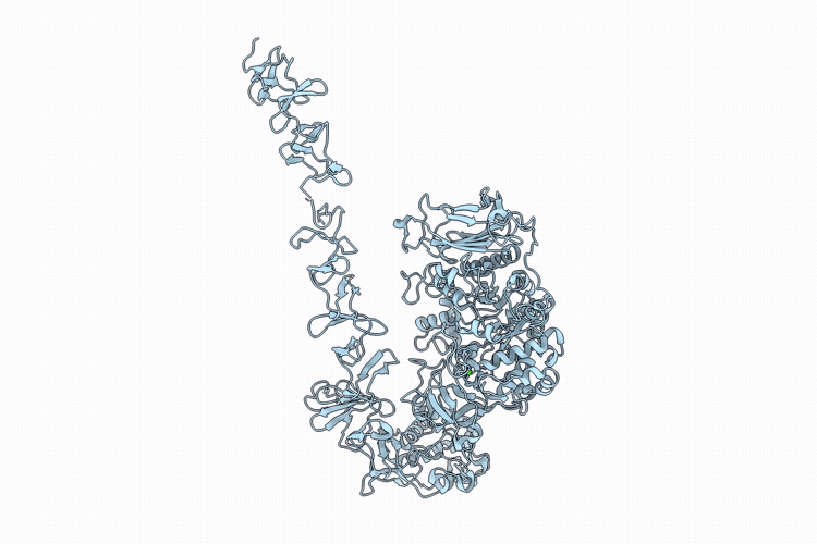 9O9P image