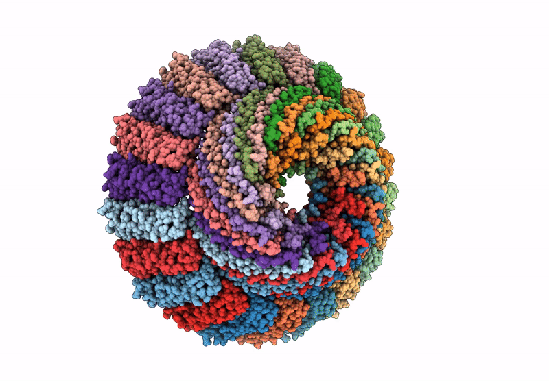 9OA0 image