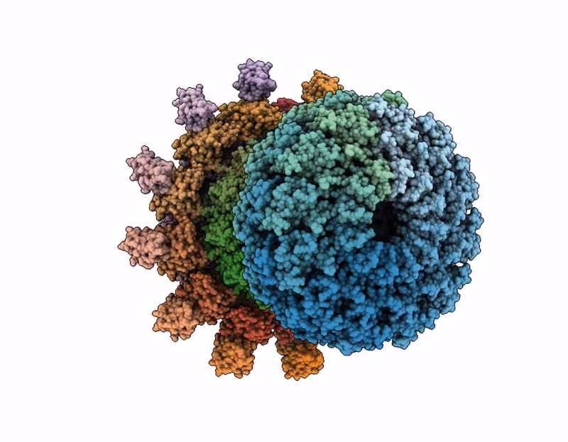 9OAB image