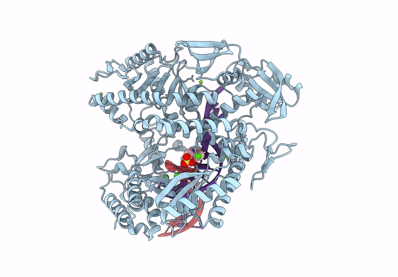 9OAT image