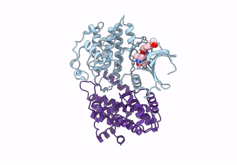 9OB2 image
