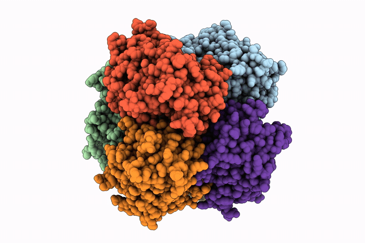 9OBR image