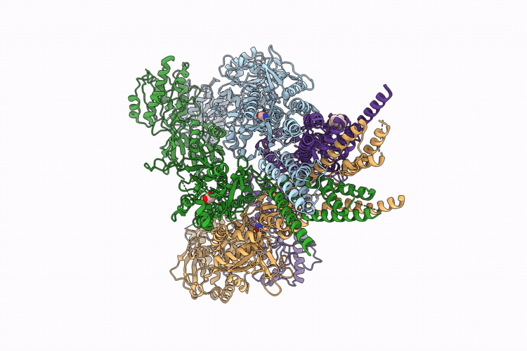 9OBS image