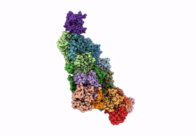 9OCB image