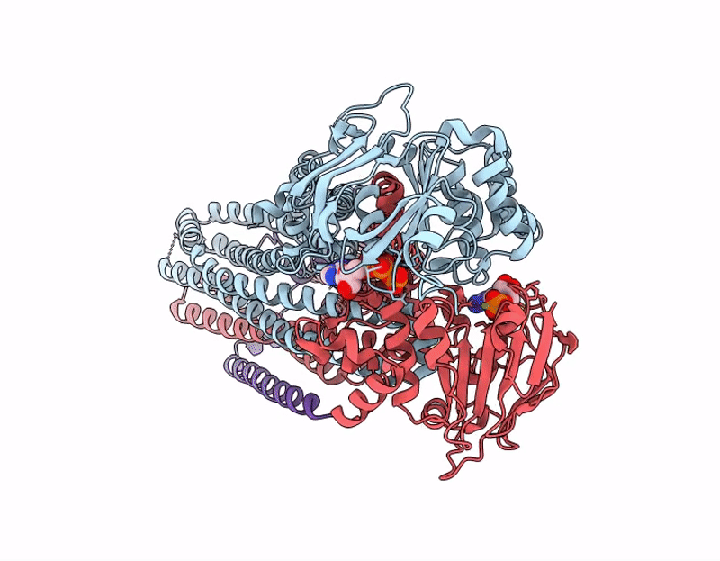 9OCI image