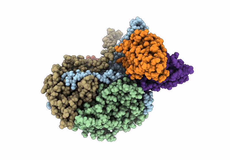 9OCL image