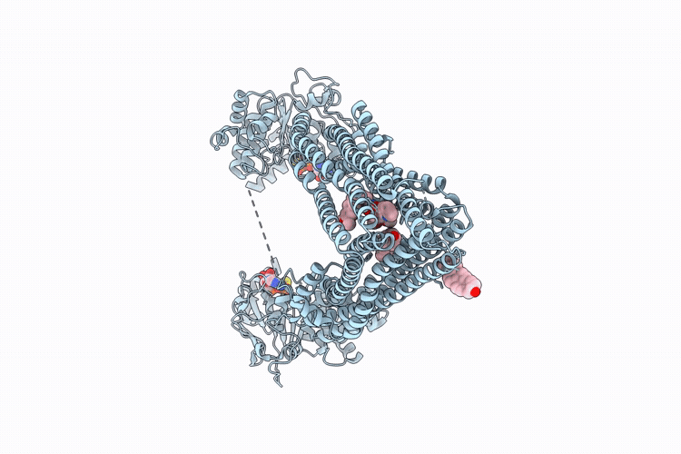 9OE2 image