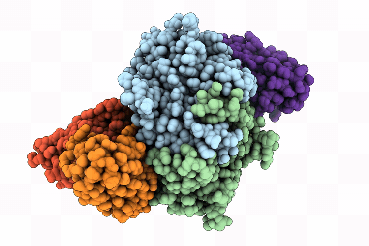 9OEG image