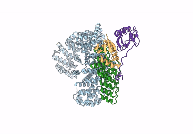 9OGD image