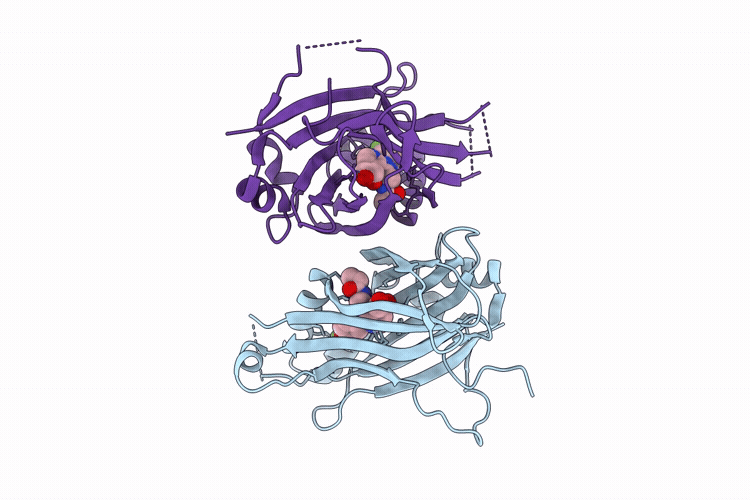 9OGI image