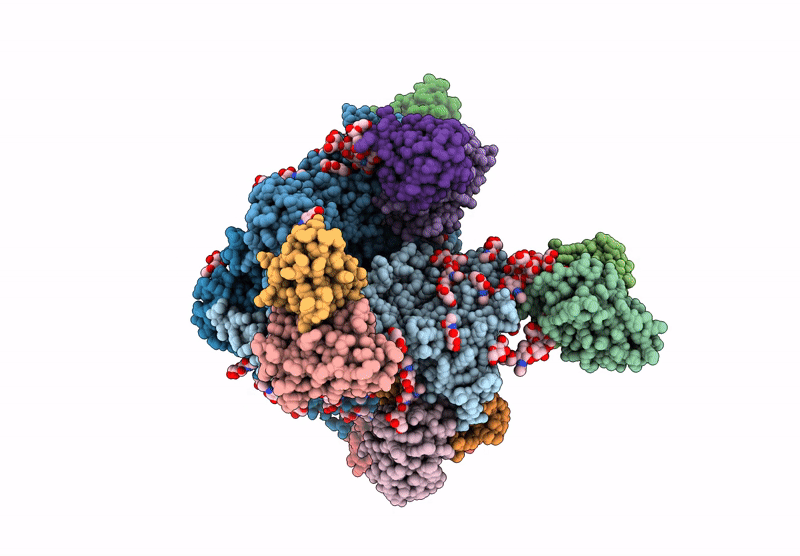 9OGL image