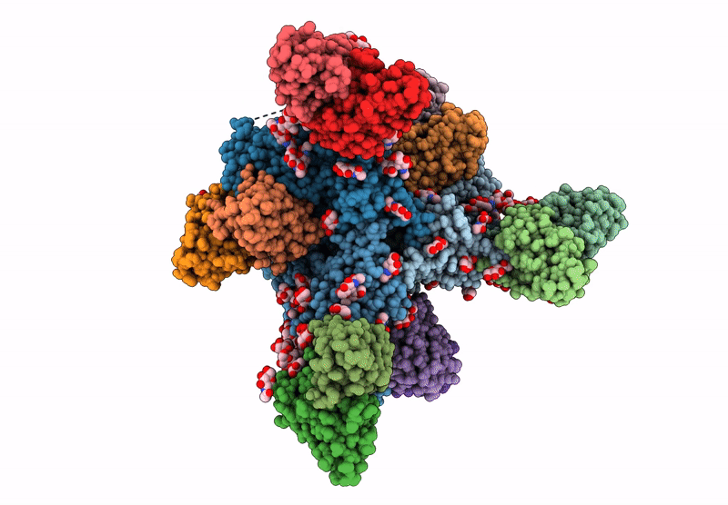 9OGM image