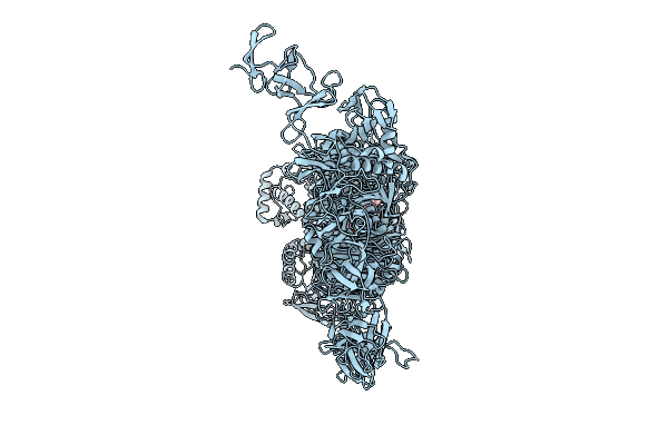 9OHD image