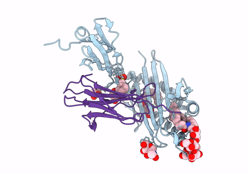 9OHU image