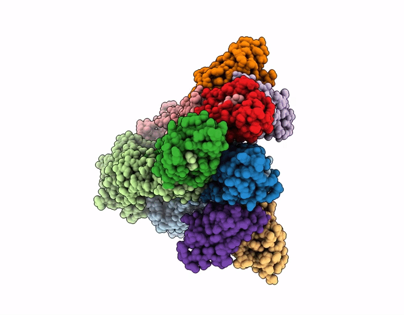 9OI2 image
