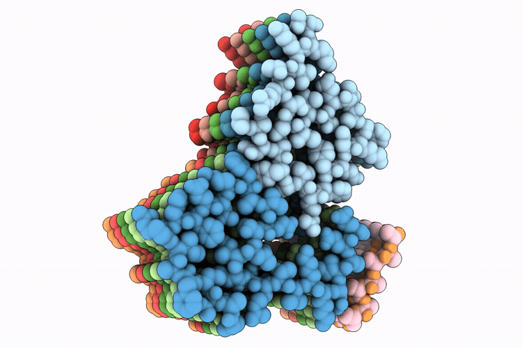 9OIG image