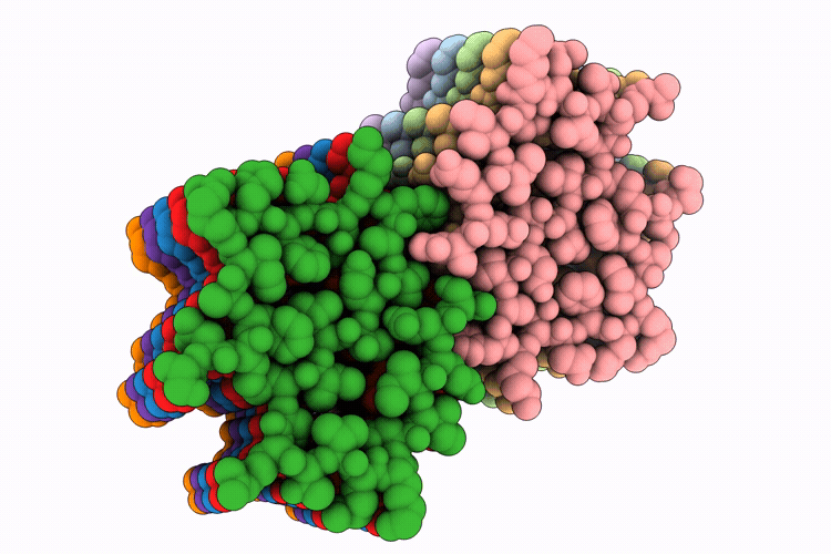 9OIP image