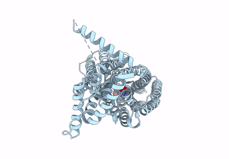 9OKG image