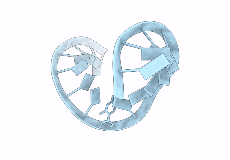 9OKV image