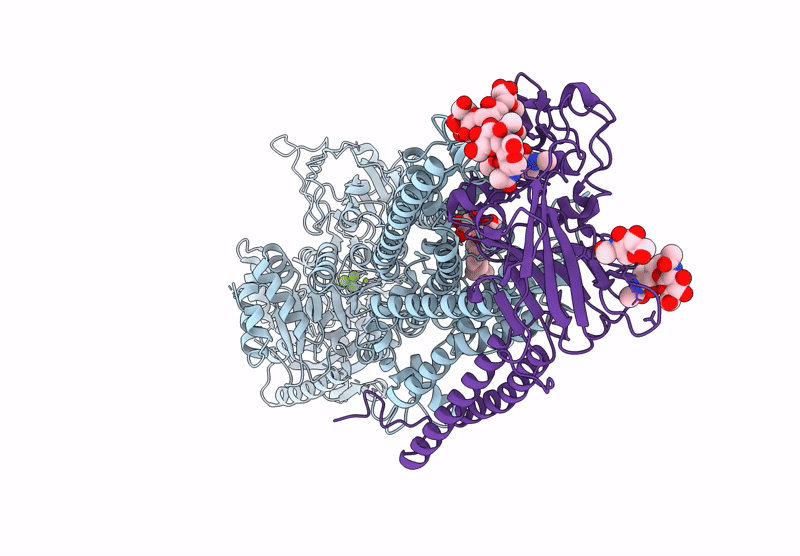 9OMV image