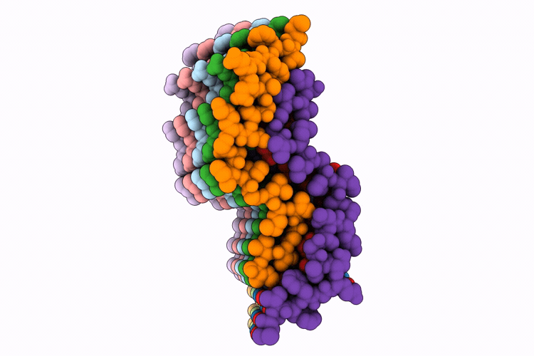 9ONC image