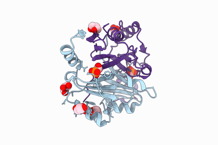 9ONV image