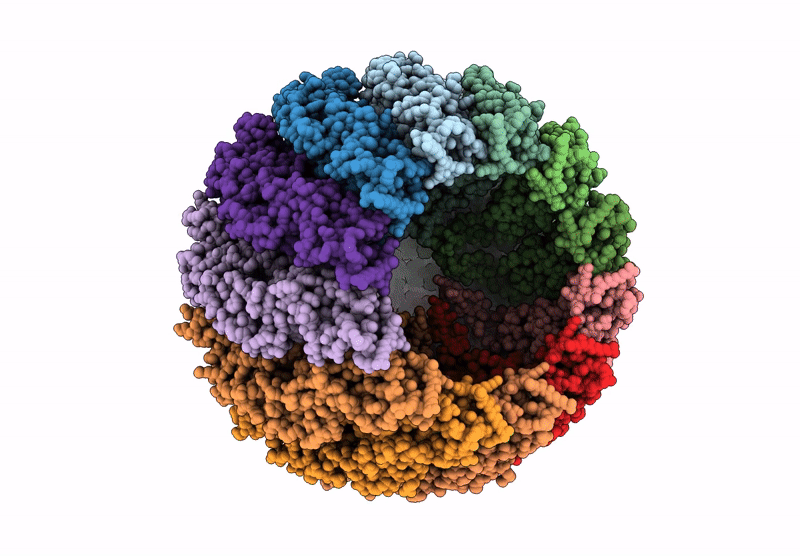 9OPC image