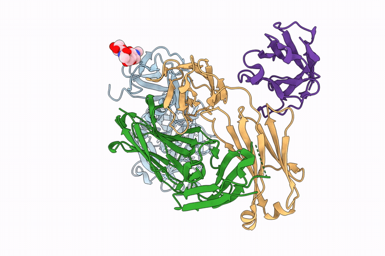 9OPR image