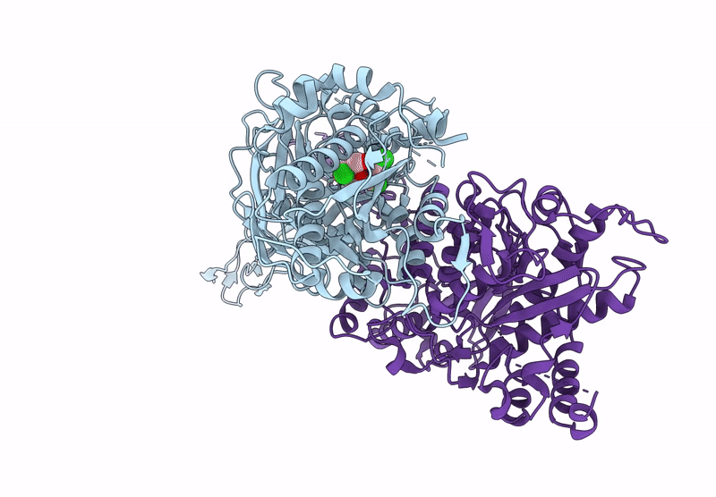 9OPZ image