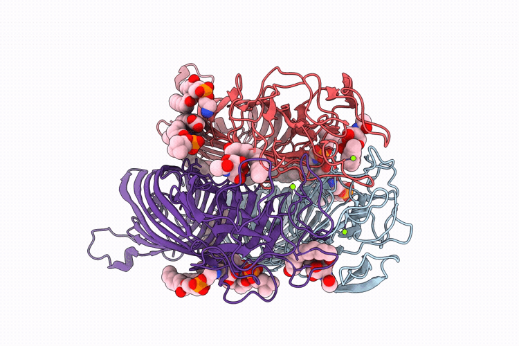 9OQ7 image