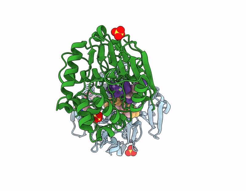 9OQB image