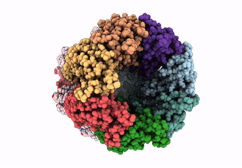 9OQI image