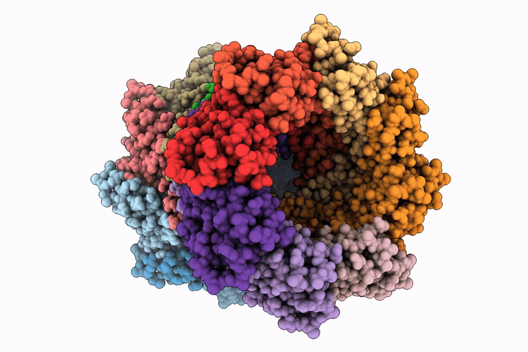 9ORP image