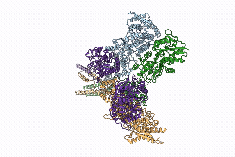 9OSI image
