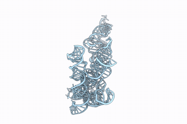 9OVB image