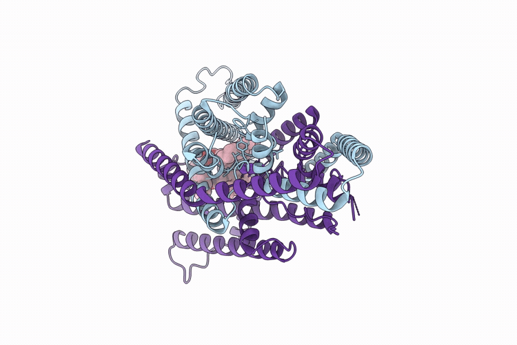 9OVD image