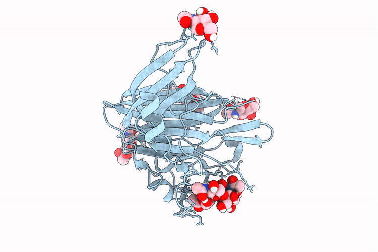 9OVK image